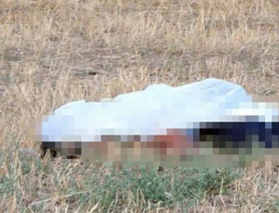 Sivas'ta koyun otlatma kavgasında iki kardeş öldürüldü