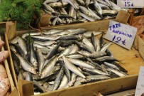 BALIK SEZONU - Balık Tezgahları Şenlendi Vatandaşın Yüzü Güldü