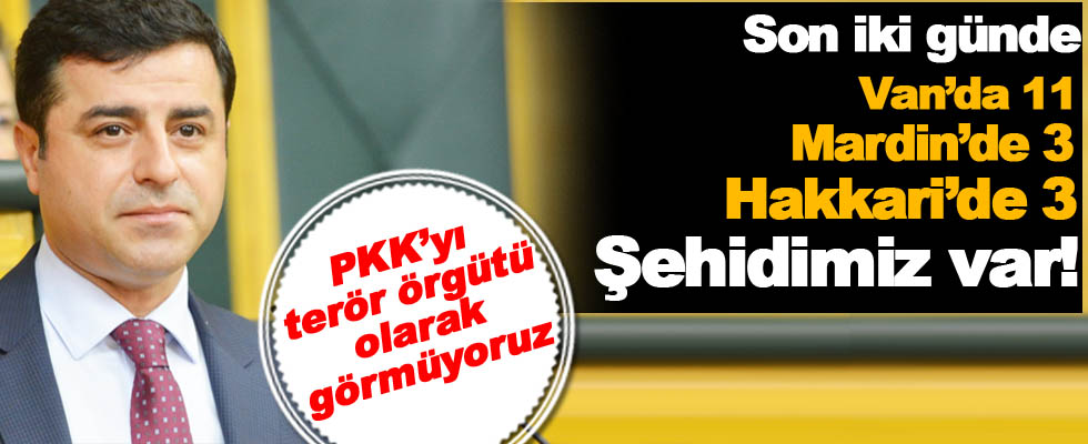 Demirtaş PKK'ya 'Terör örgütü' demedi