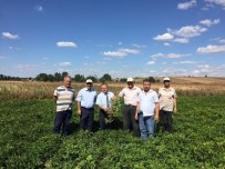 ZEKERIYA SARıKOCA - Ferhadanlı Ve Kaşıkçı Mahallelerinde Çiftçi Toplantıları Düzenlendi
