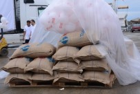 Fındık İhracatı Sezonu 249,6 Bin Ton İle Kapandı