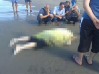 İmamın Cesedi Kıyıya Vurdu