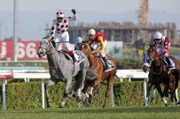 YARIŞ ATI - Ankara Koşusu'nda Gözler GRAYSTORM'da