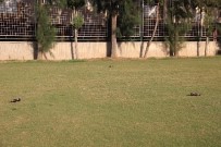 YÖRÜK ALİ EFE - Aydınspor 1923'Lü Futbolcular Ucuz Atlattı