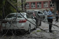 MAHMUT ESAT BOZKURT - Başkent'i Rüzgar Vurdu