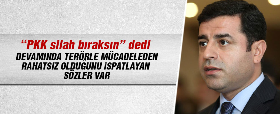 Demirtaş : PKK'dan ve hükümetten silahların susturulmasını istiyoruz