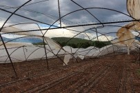 KARACAÖREN - Kumluca'da Rüzgar Seralara Zarar Verdi