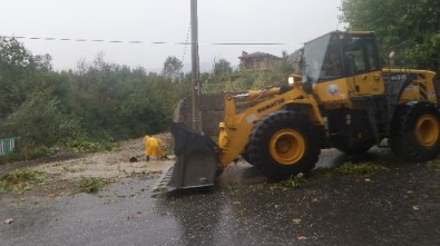 Tosya'da Fırtına Evlerin Çatısını Uçurdu, 1 Kişi Yaralandı