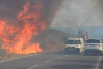 Dev Alevler Korkuttu