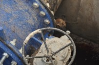 YENICEKÖY - Kanala Düşen Köpeği Belediye Ekibi Kurtardı