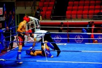 KÜÇÜKKÖY - Kick Boksta Dünya Üçünücüsü Olan Emre Kuru Yurda Döndü