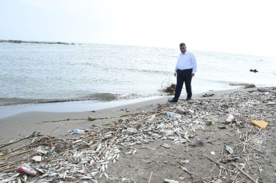 Mersin'deki Balık Ölümleri