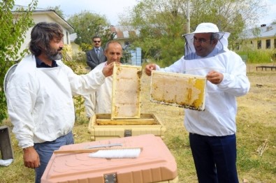 YYÜ Kendi Balını Üretti