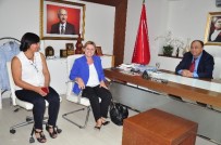 SELİN SAYEK BÖKE - CHP Genel Başkan Yardımcısından Erken Seçim Açıklaması