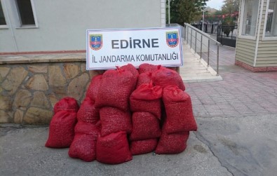 Edirne'de 20 Bin TL'lik Kaçak Kum Midyesi Ele Geçirildi