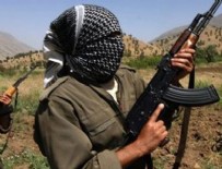 AMANOS DAĞI - Gri listedeki PKK'lı öldürüldü