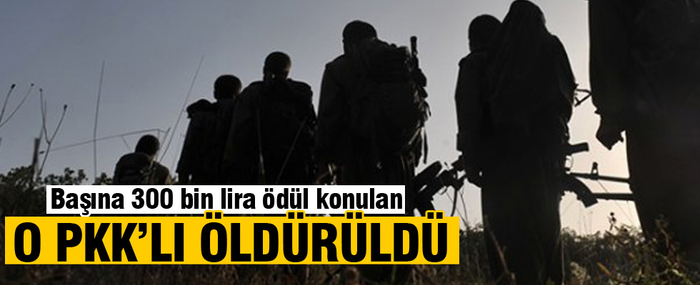 Gri listedeki PKK'lı öldürüldü