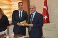 EMRAH ÖZDEMİR - Niğde AK Parti'den Vali Peynircioğlu'na Ziyaret