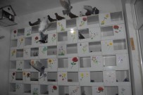 BAYHAN - Türkiye'de Bir İlk Açıklaması Güvercinler İçin Otel !