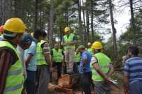 MAHMUT YıLMAZ - Orman Bölge Müdürlüğü, Aladağ'da 'Üretim Tatbikatı' Yaptı