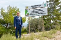 ELEKTROMANYETİK - Santral Bölgesine 14 Bin Fidan