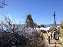 Antalya'da Yangın Bir Serayı Yok Etti