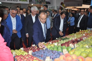 İnegöl'de Tarım Fuarı