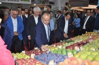 İnegöl'de Tarım Fuarı