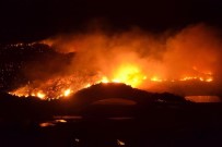 MAHMUT YıLMAZ - Mersin'deki Orman Yangınları Kontrol Altına Alındı