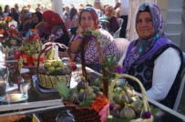 SAIT KARAHALILOĞLU - Mezitli'de 'İncir Festivali'