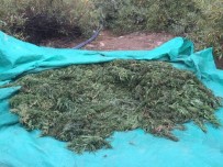 PKK'nın Finans Kaynağına Büyük Darbe