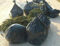 Terör operasyonunda dudak uçuklatan rakam!