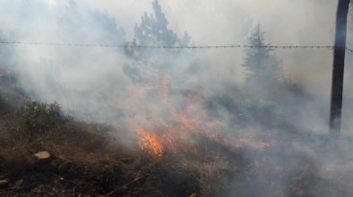 Yozgat'ta Orman Yangınını Vali Yurtnaç Bildirdi