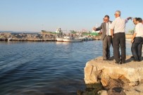 BALIK PAZARI - AK Parti Kepez'li Balıkçılar İçin Harekete Geçti