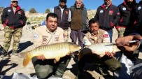 HASAN EKINCI - Baraj Gölünde Balık Yakalama Yarışması Heyecanı