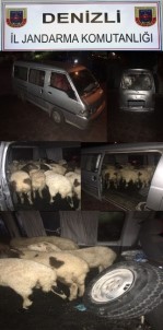 Denizli'de Hayvan Hırsızlarına Operasyon Açıklaması 2 Gözaltı