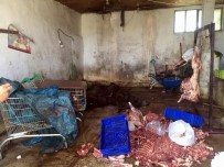 GIDA KONTROL - Domuz Eti Satısının İhbar Ettiği Sucuk Temiz Çıktı