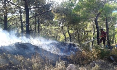 Maytap İle Oynayan Çocuklar Orman Yangını Çıkardı