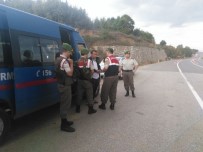 Sakarya'da Yol Kontrolünde PKK'lı Terörist Yakalandı