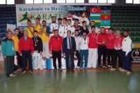 AHMET ÇELEBI - Karatede Diriliş