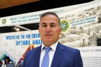 KERVANSARAY - Kurban Bayramı'nda Ankara Keçisi Üreticileri Bayram Etti