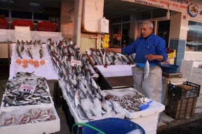 Yozgat'ta Balık Tezgahlarında Çeşitlilik Arttı
