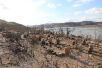 KÖY MEZARLIĞI - Baraj suları çekilince eski köy yeniden ortaya çıktı