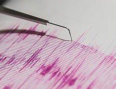 Muğla'da korkutan deprem