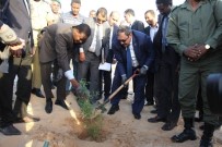 EROZYONLA MÜCADELE - Orman Ve Su İşleri Bakanlığı'ndan Moritanya'ya Tohum Desteği
