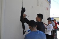 MEHMET ALİ BUL - Tunceli'nin Duvarları Grafiti İle Renkleniyor