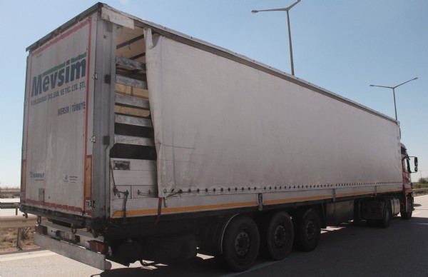 Polisin durdurduğu TIR'ın kasasından 35 at çıktı