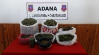 Adana'da Uyuşturucu Operasyonu Haberi