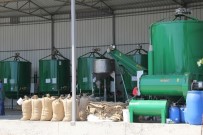 OLTAN - Selde Islanan 105 Ton Fındık Kurutuldu