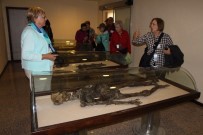 TURİST KAFİLESİ - Türk mumyalar Amerikalıları şaşırttı